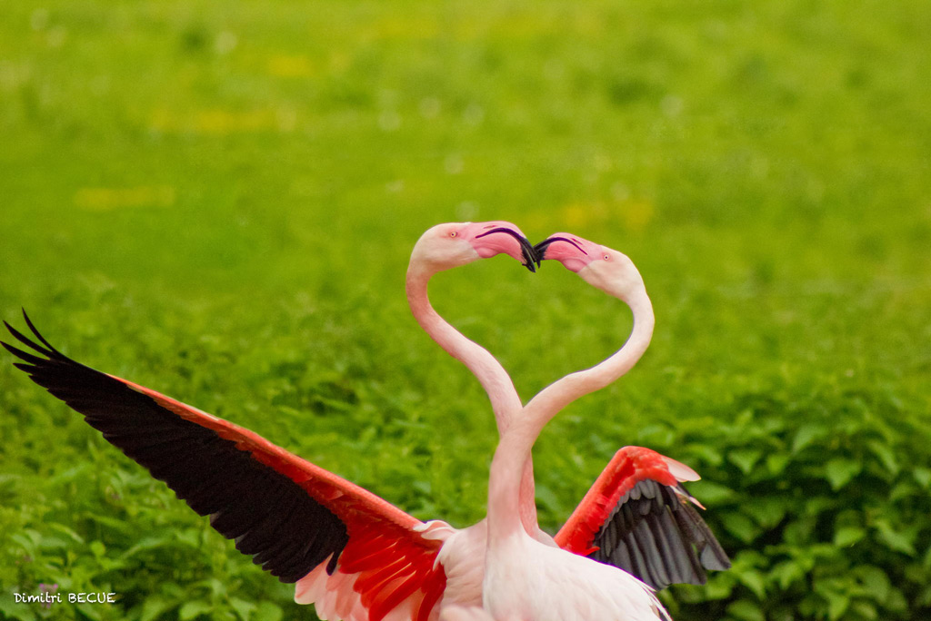 性病,特徴,なりやすい